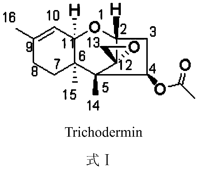 Trichodermin C8 oxime ether derivatives and application thereof