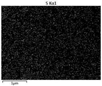 A lithium-ion battery negative electrode based on lithium tetrathiofulvalene dicarboxylate and preparation method thereof