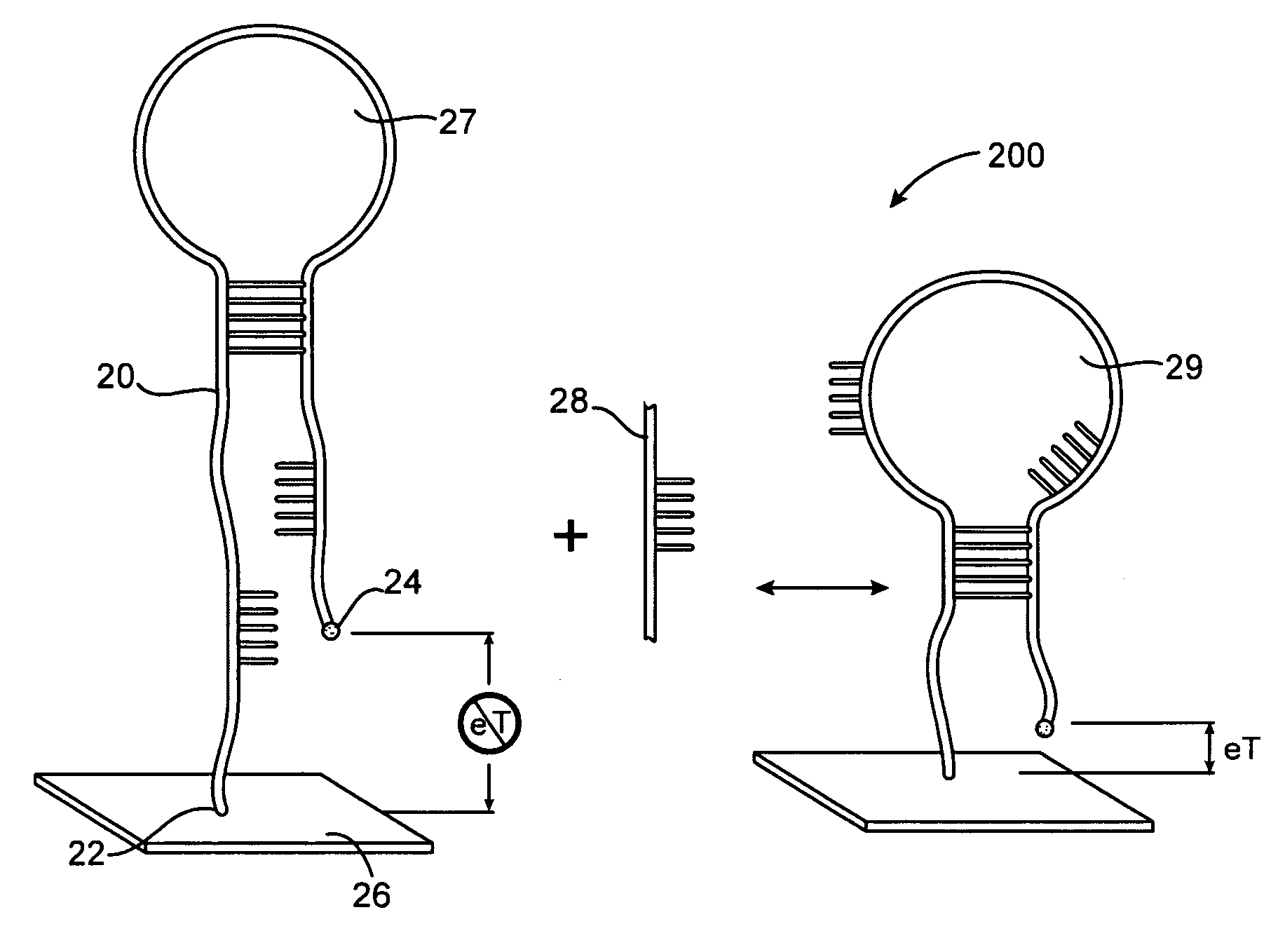 Reagentless, reusable, bioelectronic detectors