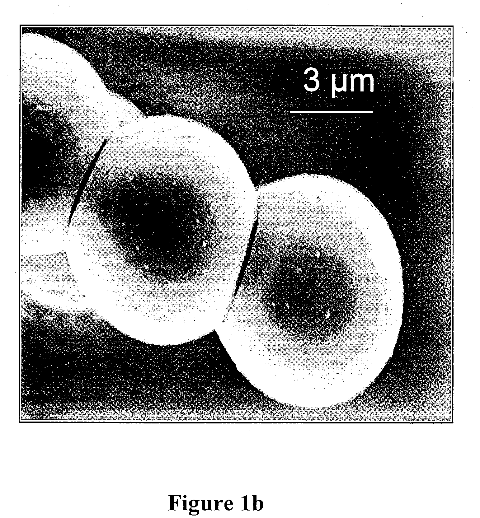 Photonic polymer-blend structures and method for making