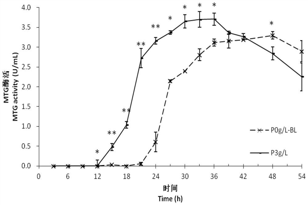 Method for increasing yield of transglutaminase produced by fermentation
