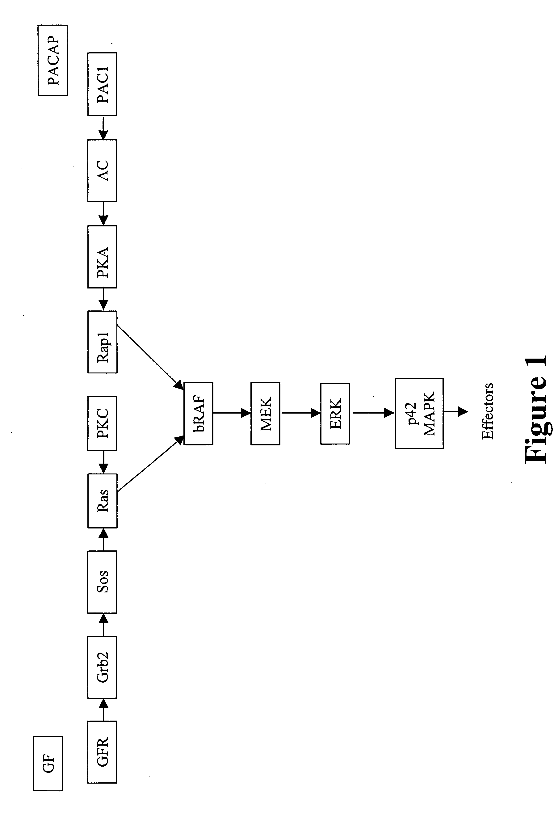Compositions and methods to increase the effect of a neurotoxin treatment