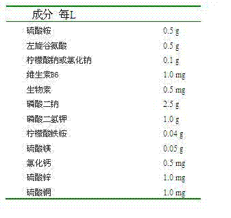 Preparation method of dry powder of recombinant human interferon-alpha-2b-BCG