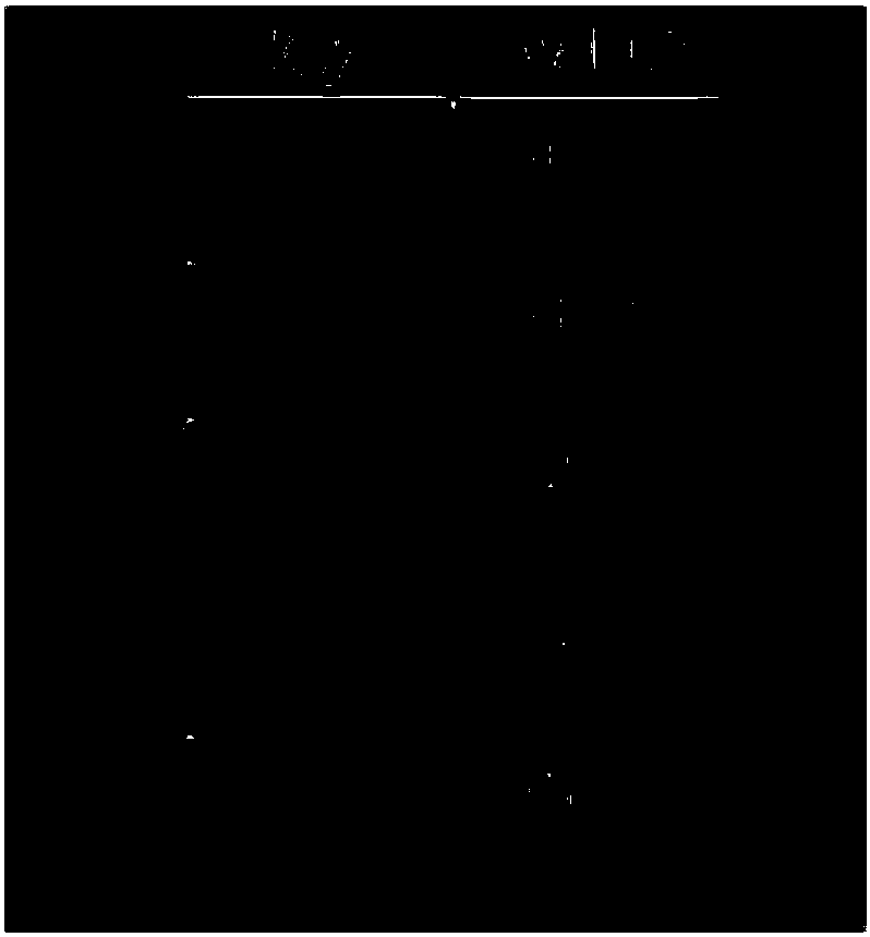 Password cracking method, host device and storage device