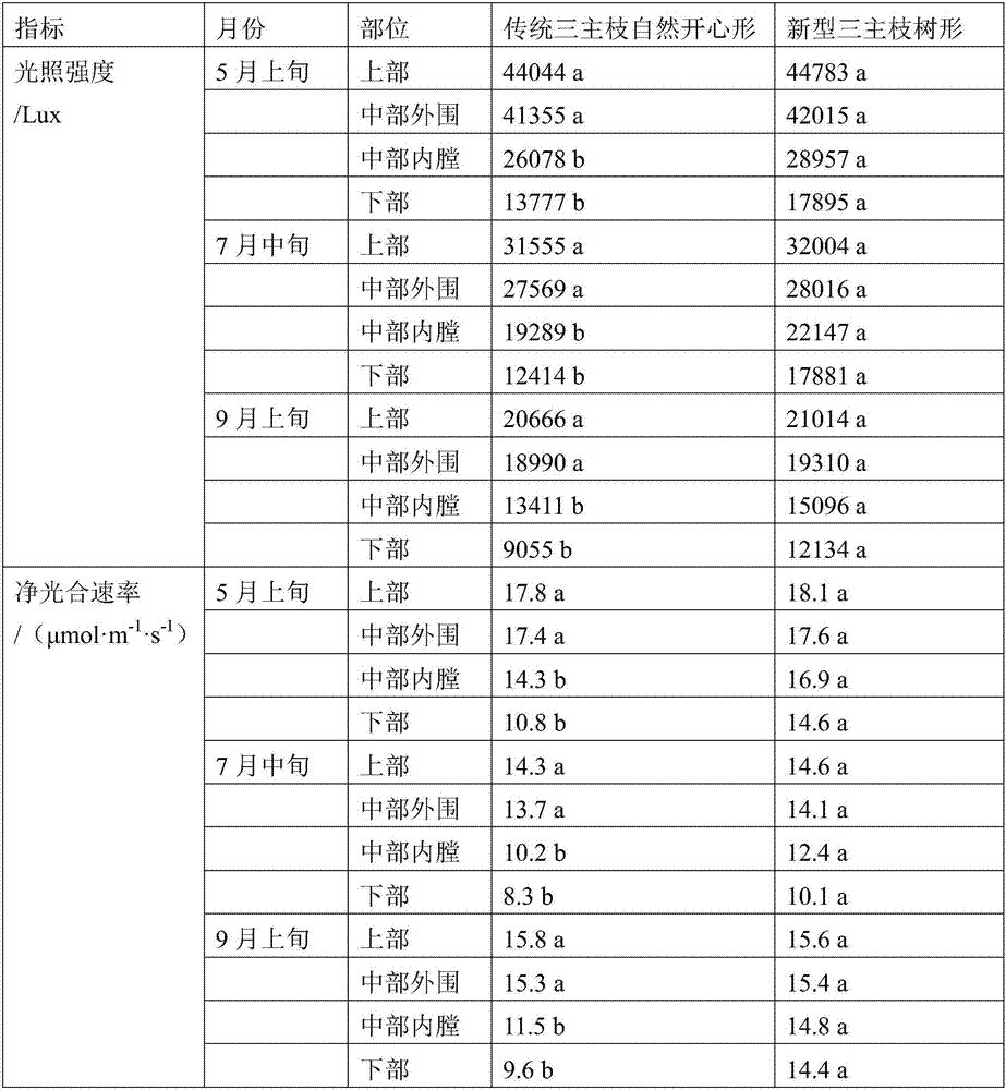 Novel three-main-branch high photosynthetic efficiency cultivation method for peach trees