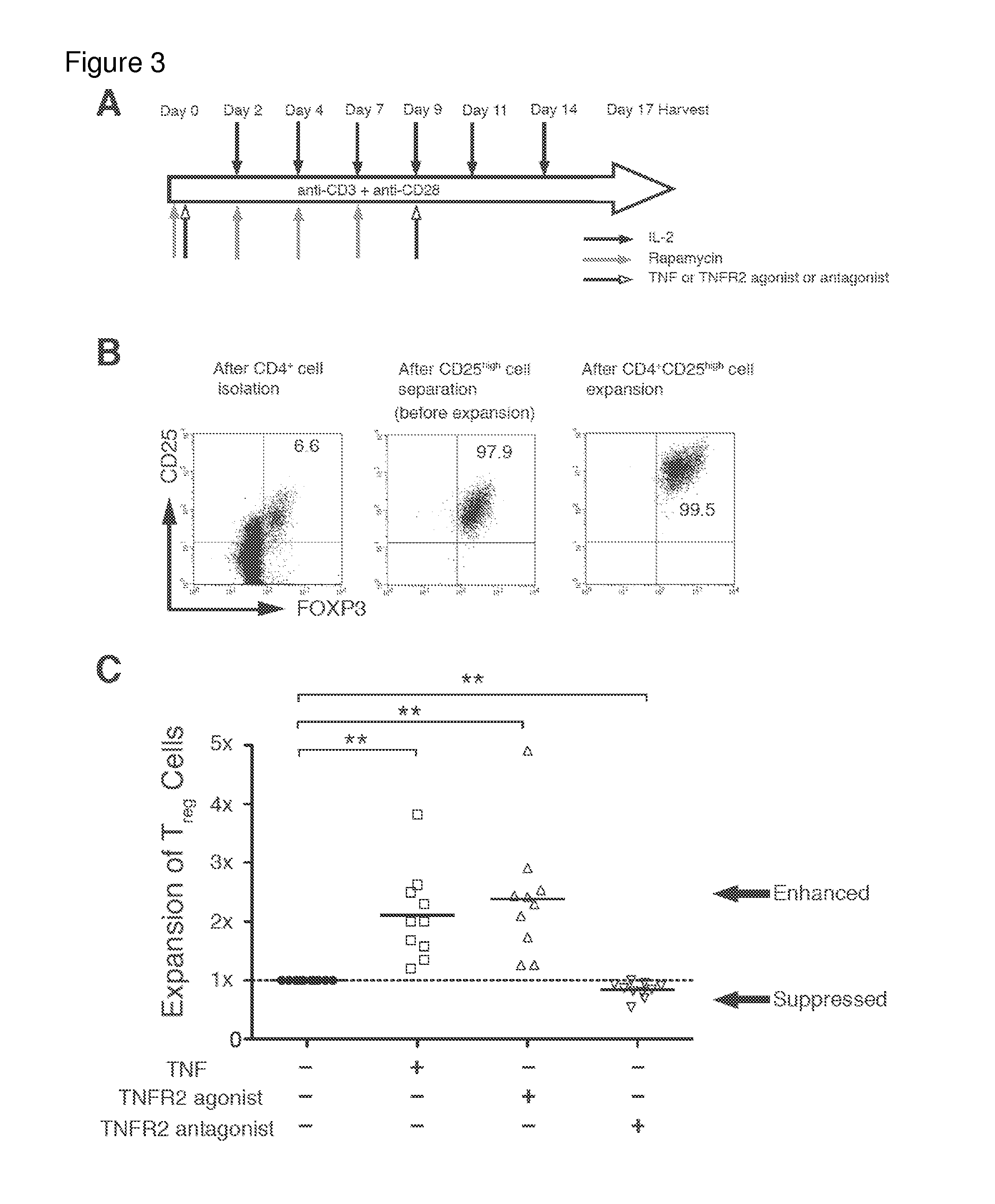 Methods for expansion or depletion of t-regulatory cells
