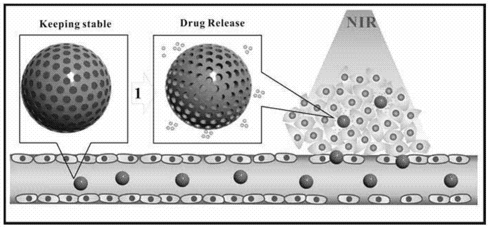 Preparation method and application of rare earth up-conversion drug-delivery nano-carrier