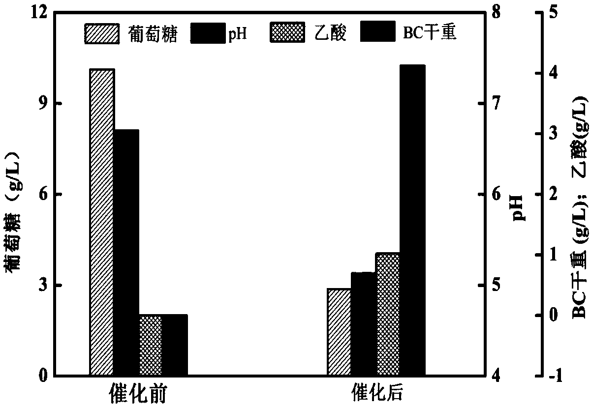 Method for catalytically producing bacterial cellulose by using resting cells of acetic acid bacteria