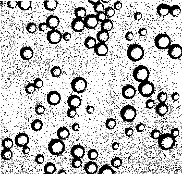 High-efficient low-toxicity ultrasonic microvesicle for carrying ricin A chain and preparation method thereof