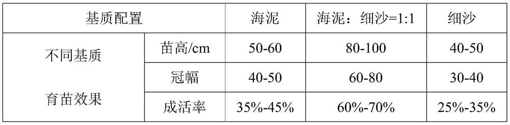 A kind of endangered mangrove plant lotus leaf seedling raising method