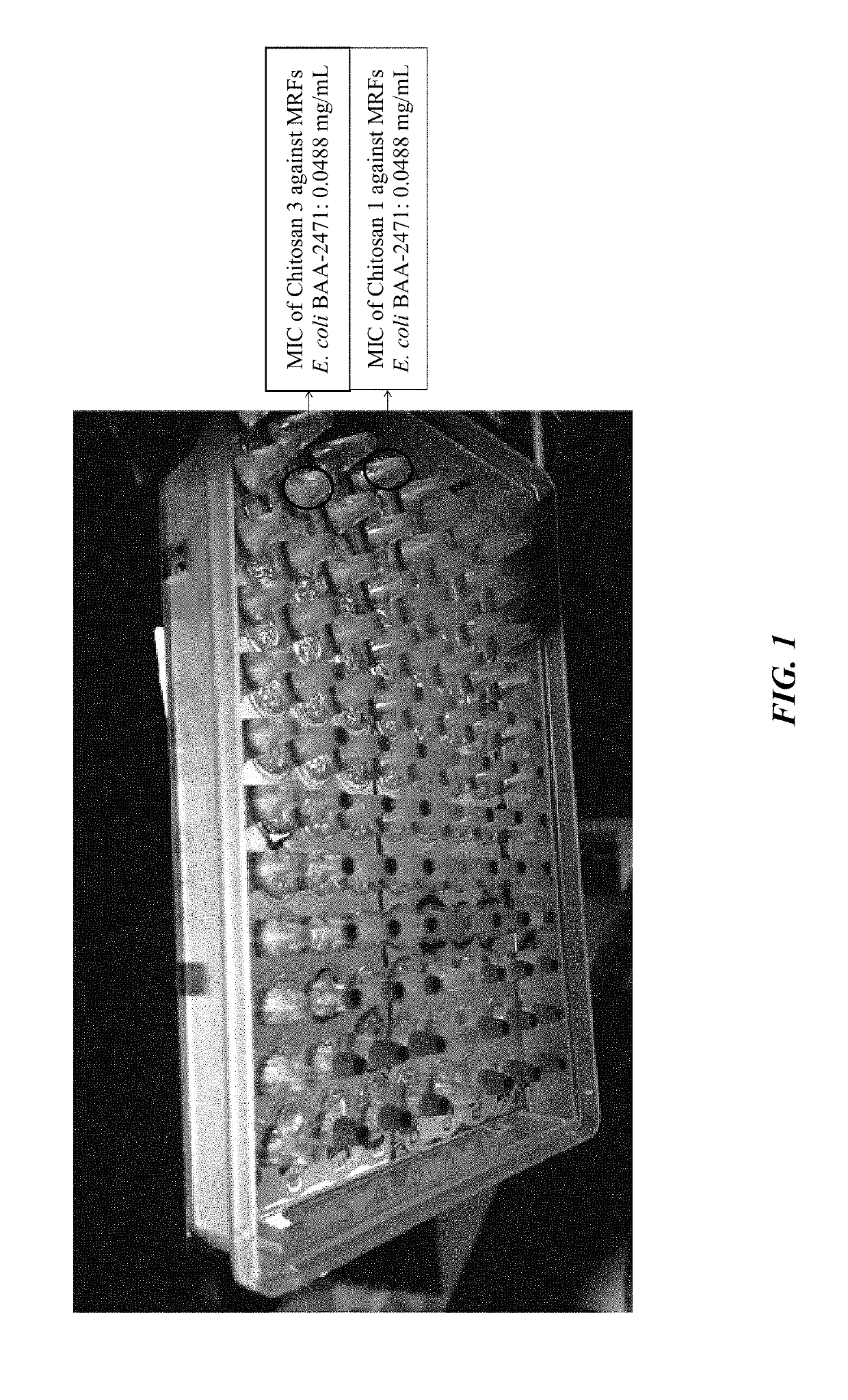 Compositions for treating drug resistant bacteria and biofilm