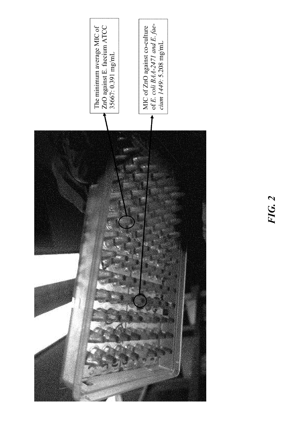 Compositions for treating drug resistant bacteria and biofilm