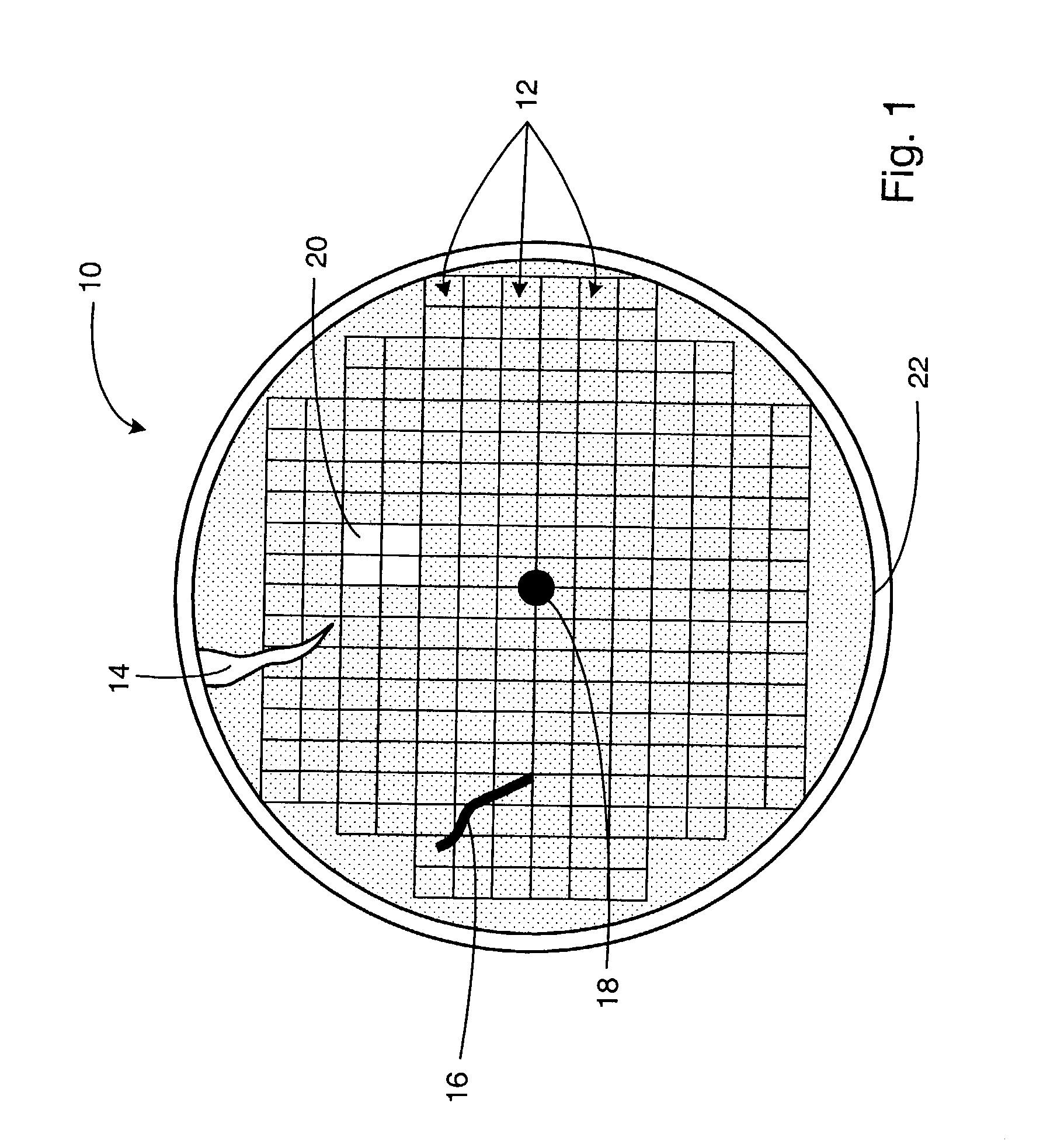 Methods and systems for determining a critical dimension and overlay of a specimen