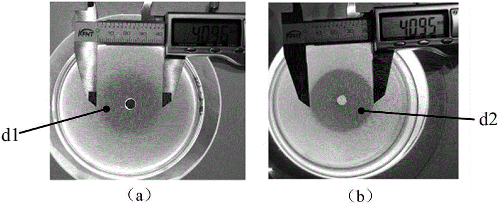 Test method for evaluating in-vitro antibacterial activity of antibacterial substance