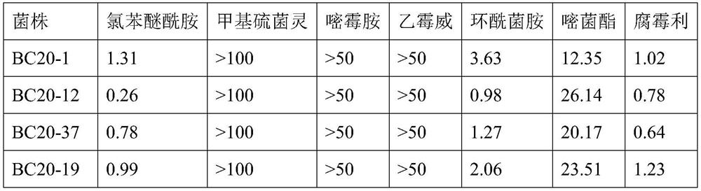 Compound fungicide containing N-(2-(2,4-dichlorophenoxyl)phenyl)-3-(difluoromethyl)-1-methyl-1H-pyrazole-4-amide and procymidone