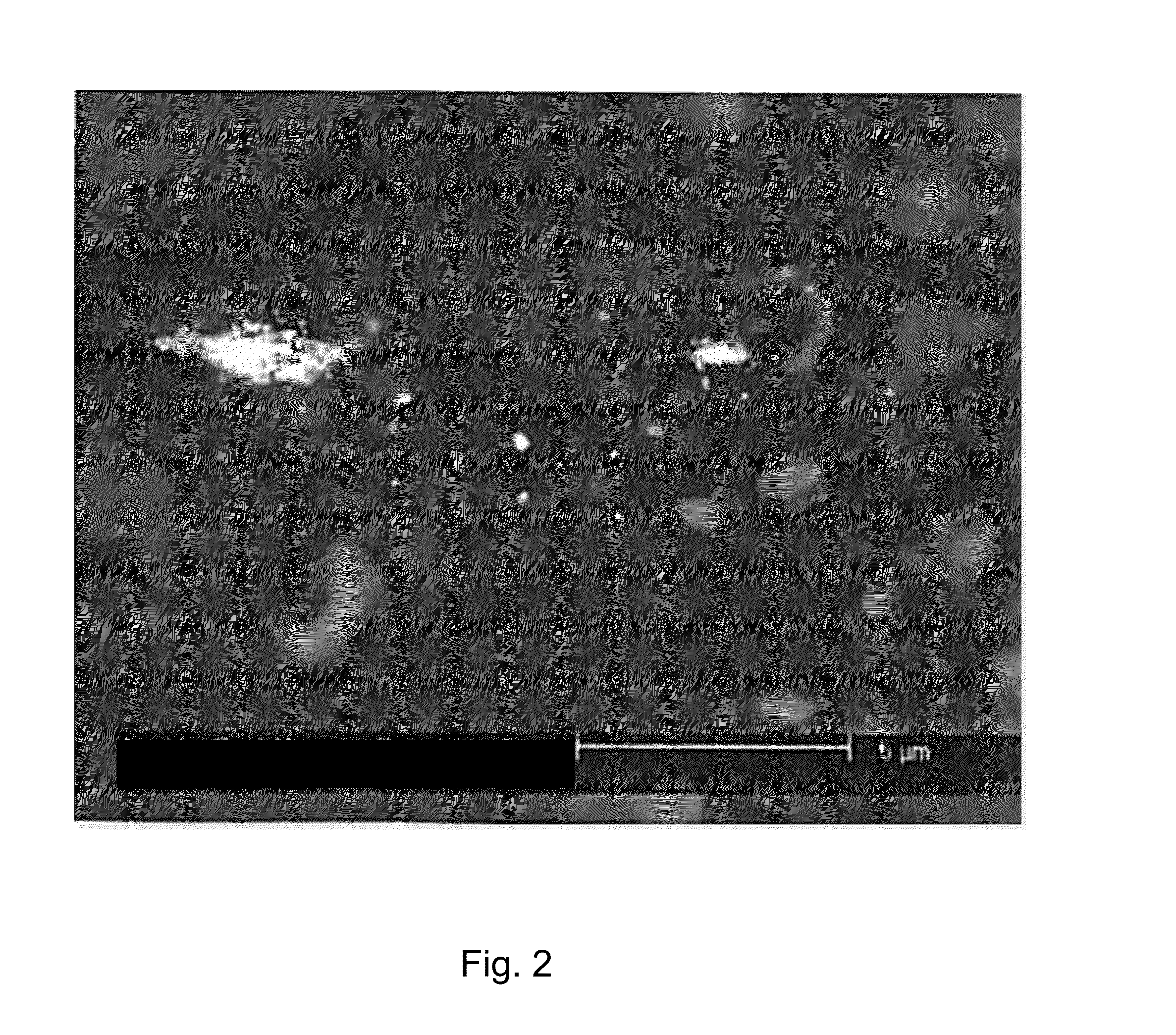 Antibacterial sheet material that can be used as a wound dressing and method for producing same