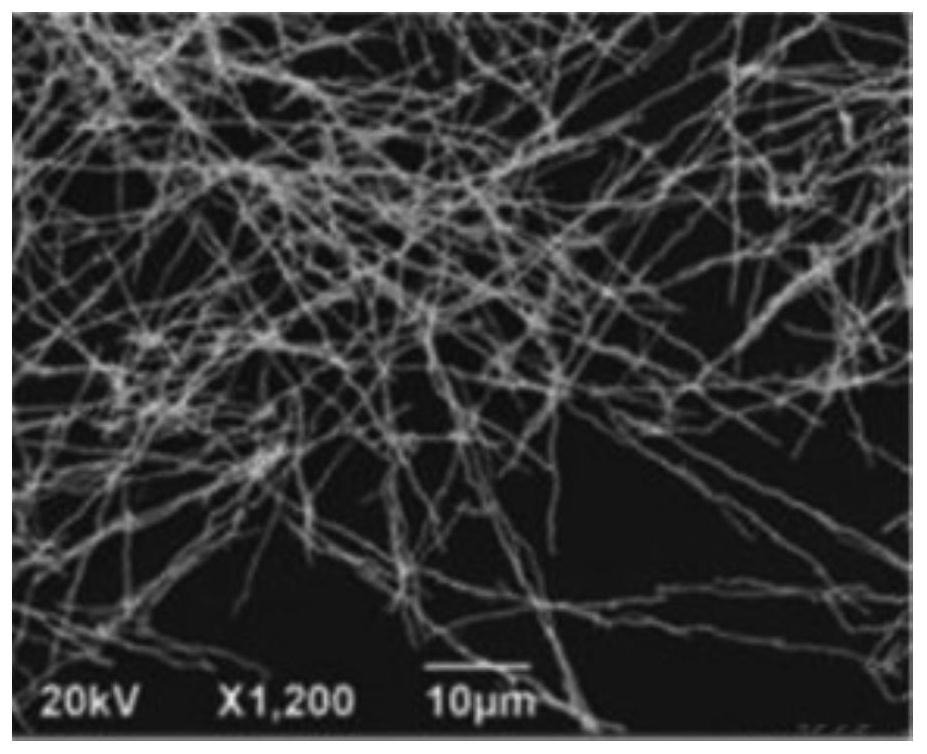 A method for preparing one-dimensional magnetic nanowires for biochemical analysis