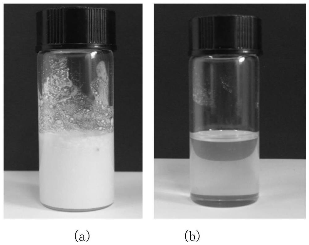 A kind of dissolving system and dissolving method for dissolving graphite phase carbon nitride