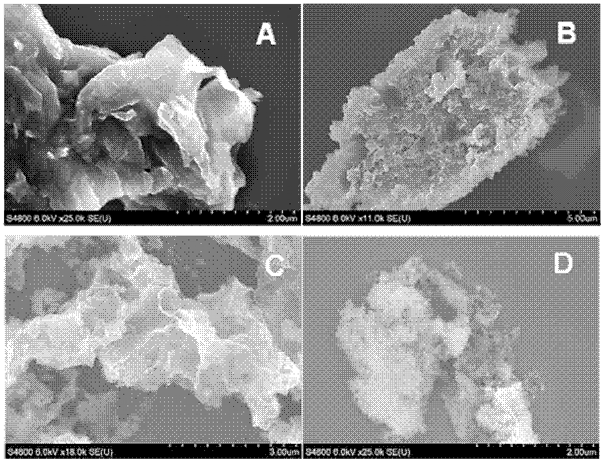 Imidazole porous polymer based on graphene oxide, as well as preparation method and application thereof