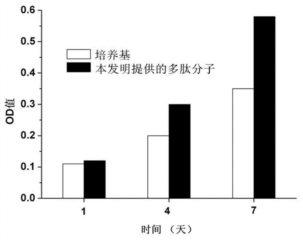 Polypeptide molecule and application thereof