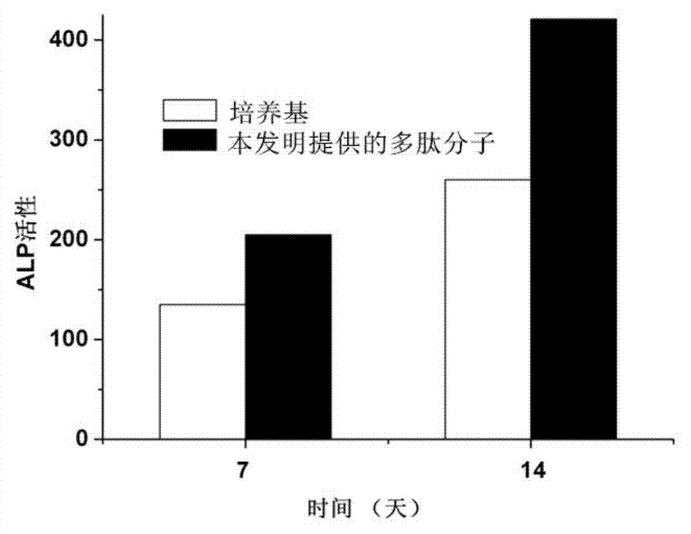 Polypeptide molecule and application thereof