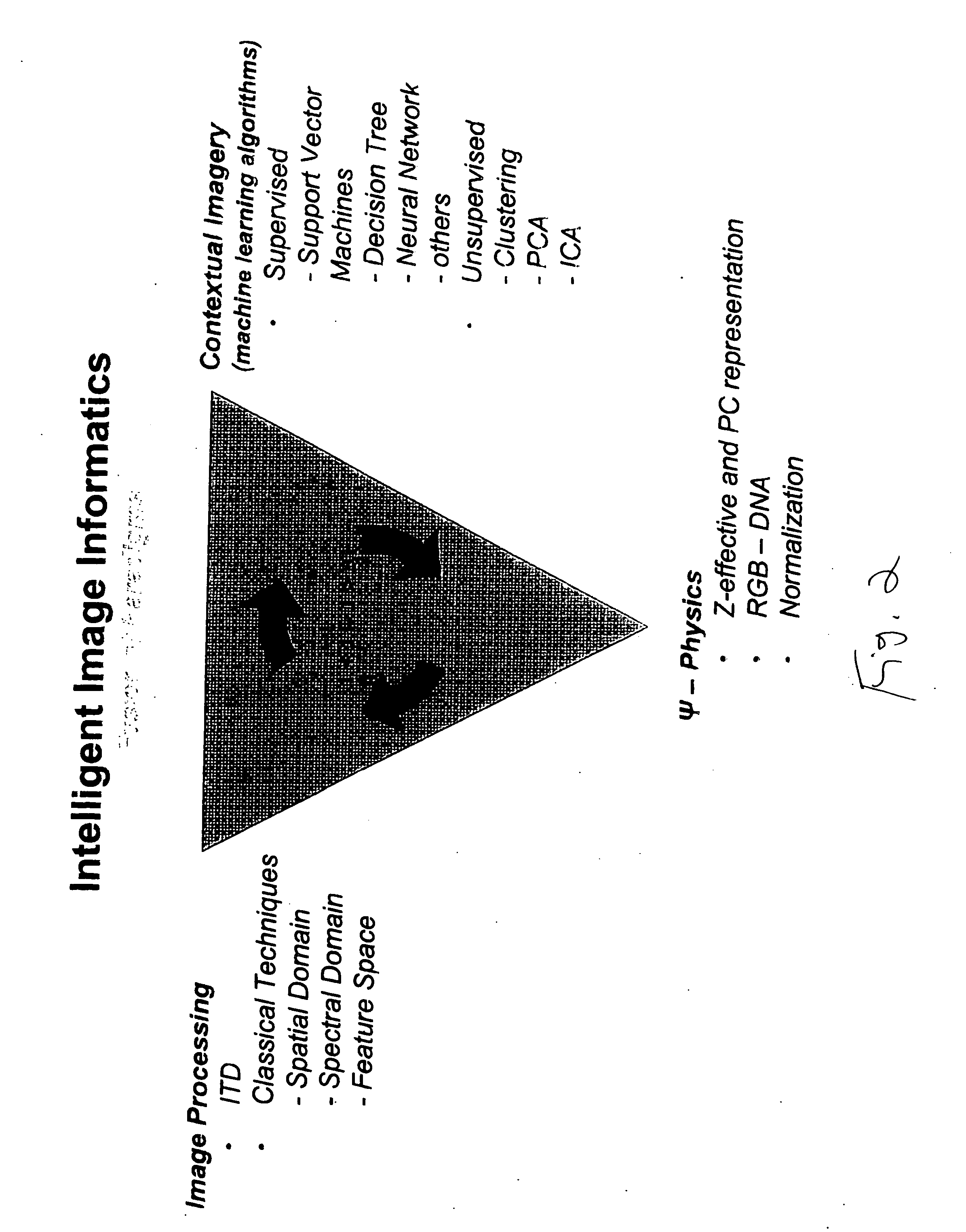 System and method for identifying objects of interest in image data