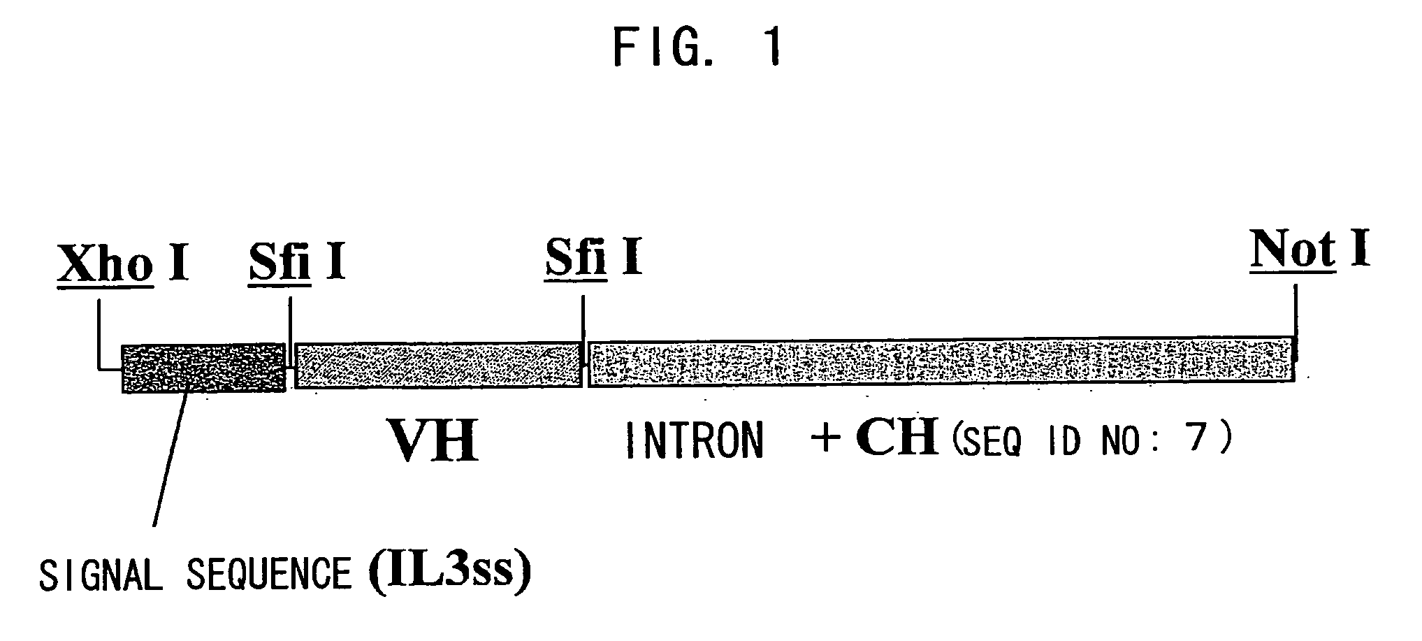 Bispecific antibody substituting for functional proteins