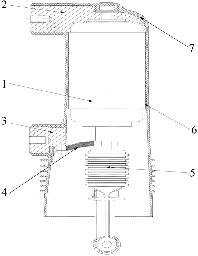Solid-sealed polar pole and production method thereof