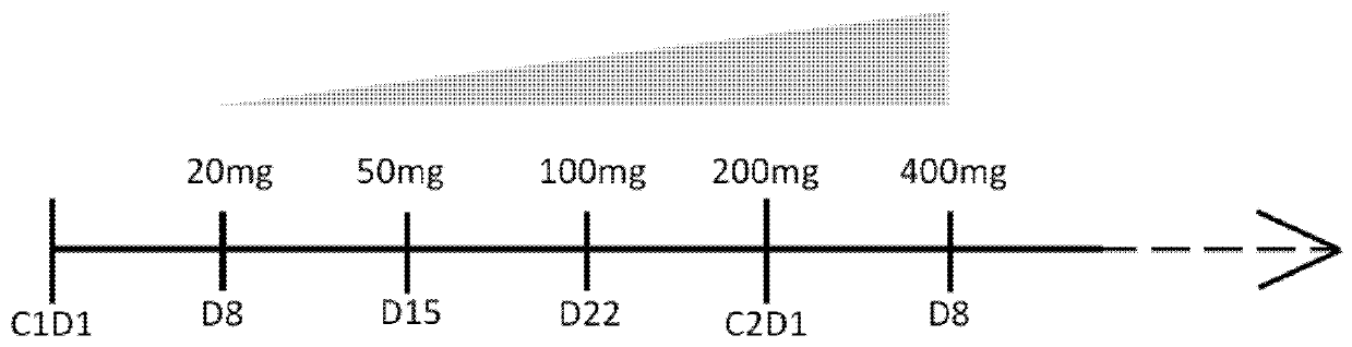Treatment paradigm for an Anti-cd19 antibody and venetoclax combination treatment