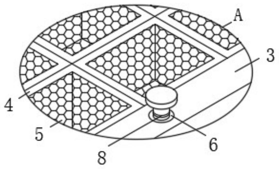 Forestry seedling culture box with classification function