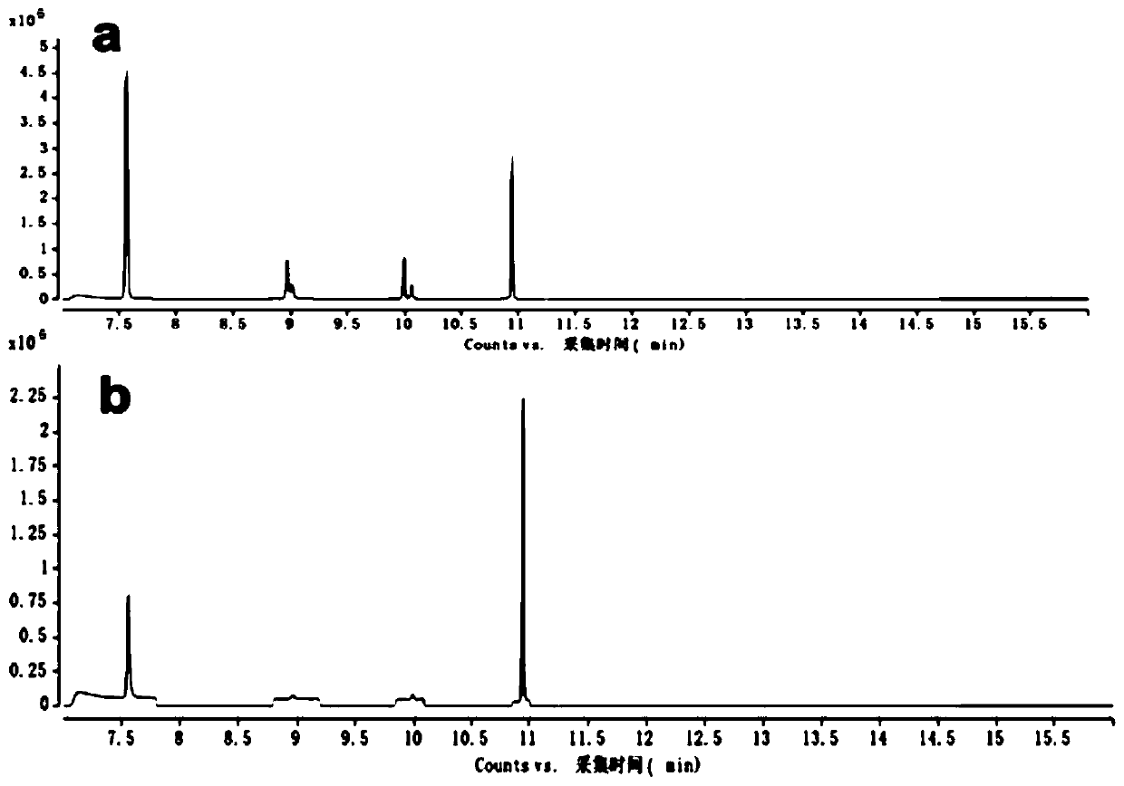 Method for detecting short-chain fatty acids in serum and lymphatic tissues based on GC-MS