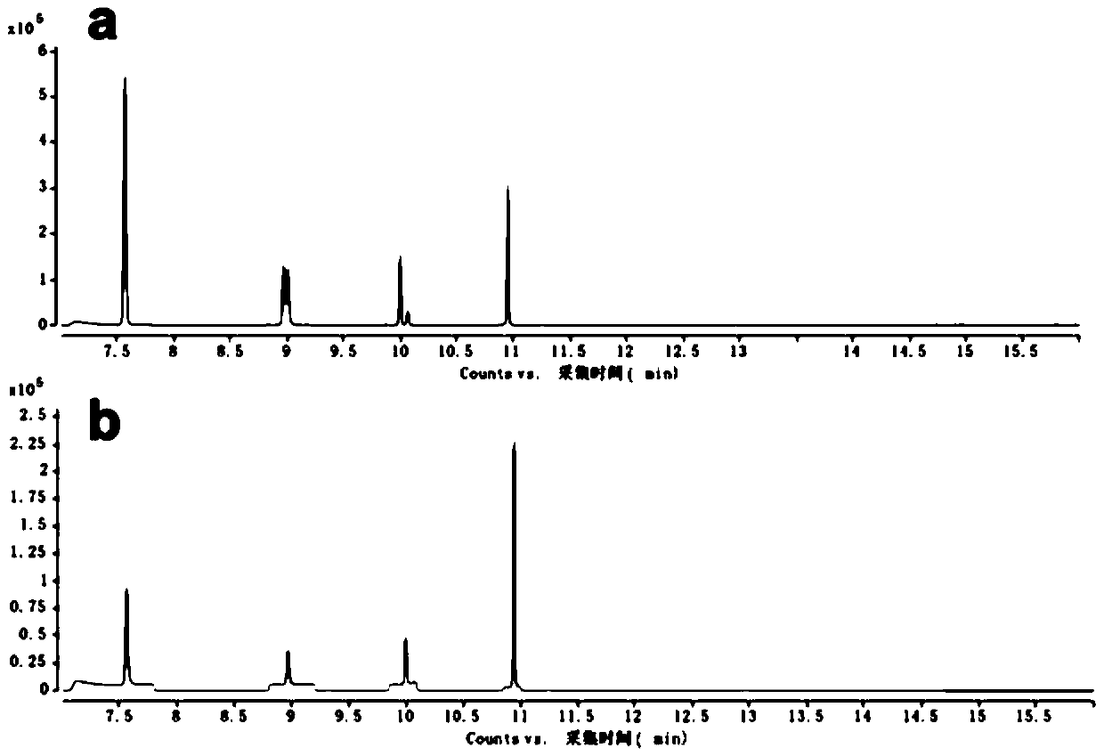Method for detecting short-chain fatty acids in serum and lymphatic tissues based on GC-MS