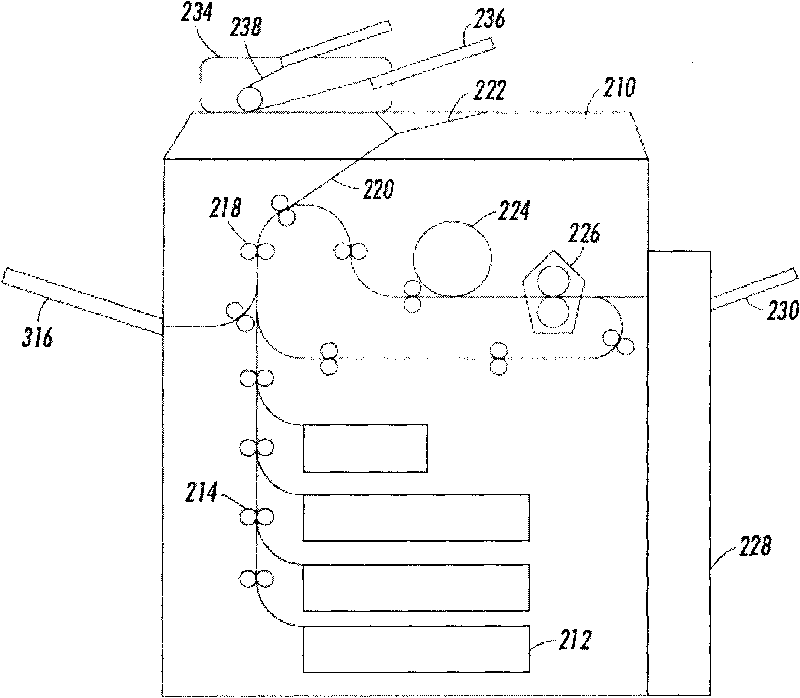 Printing apparatus having common scanning and printing feed path