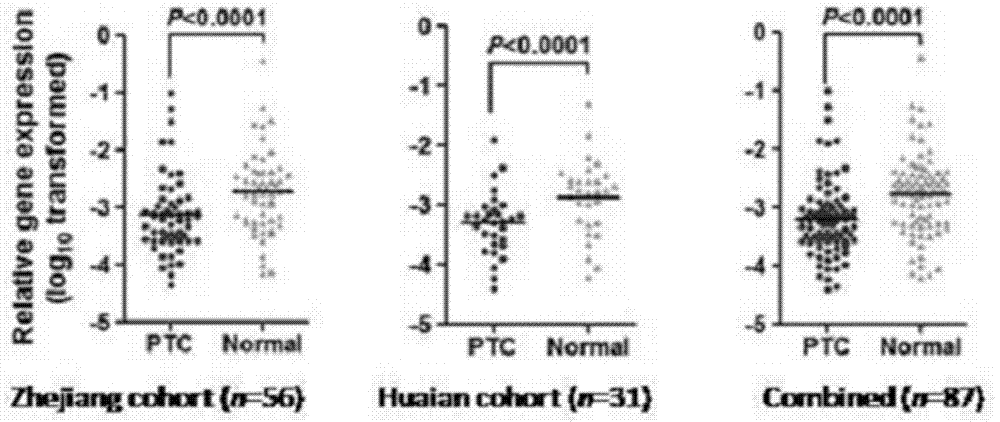 Gene relevant to papillary thyroid tumors