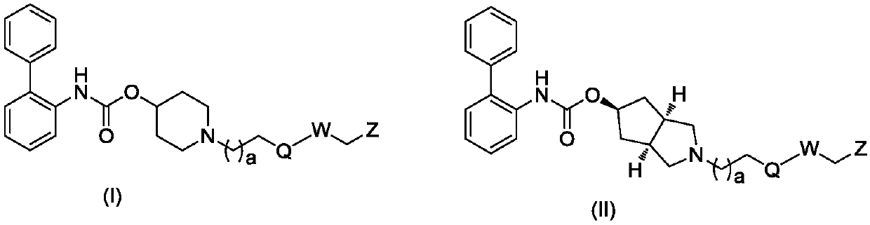 Biphenyl derivative, preparation method thereof, and application of biphenyl derivative to medicine