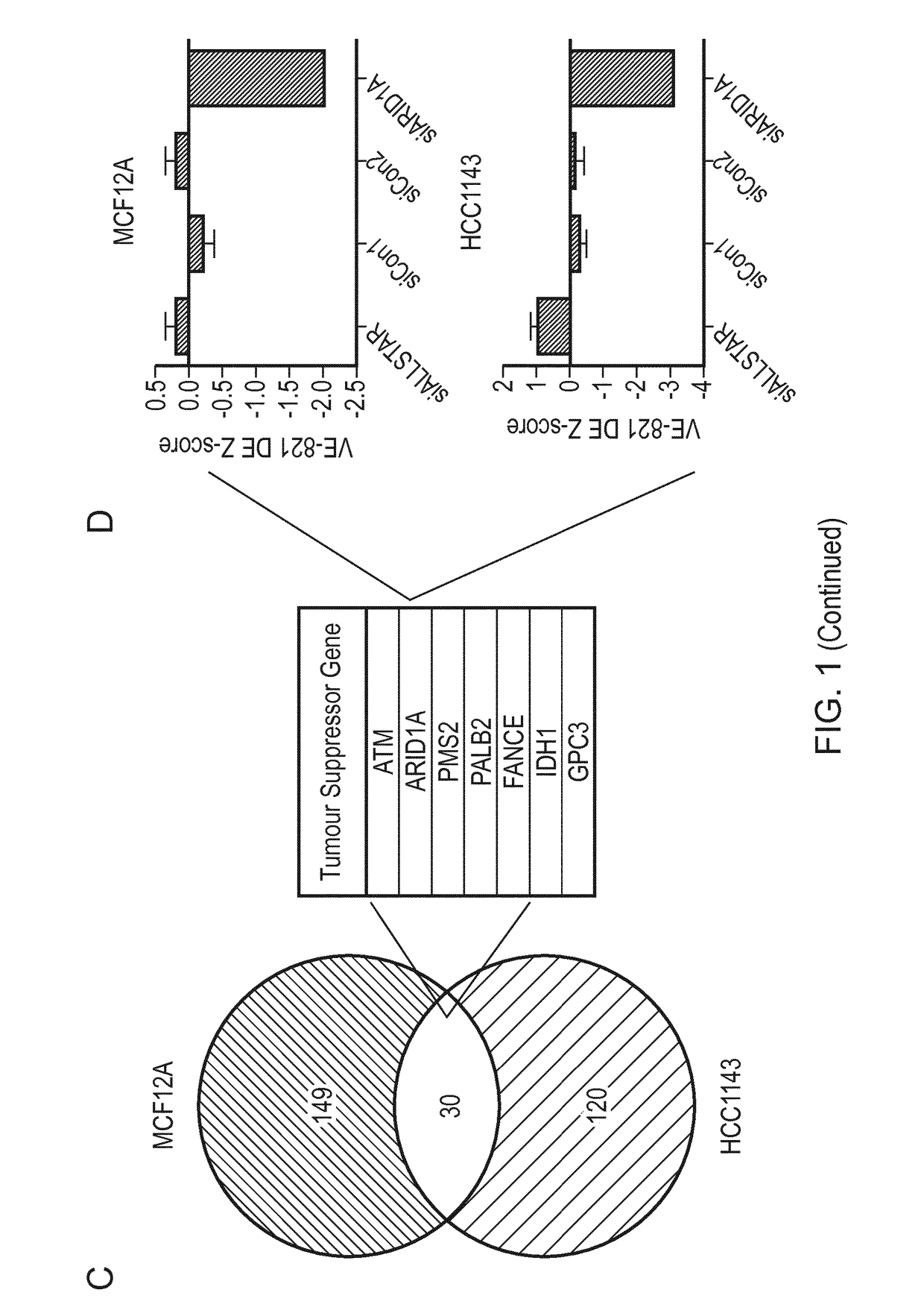 Inhibitors of ataxia-telangiectasia mutated and rad3-related protein kinase (ATR) for use in methods of treating cancer