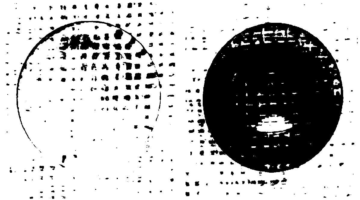 Preparation method for antibacterial contact lens