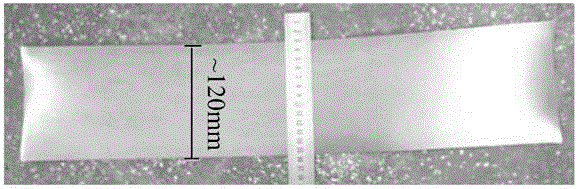 Duplex stainless steel thin strip and near-net shaping preparation method thereof