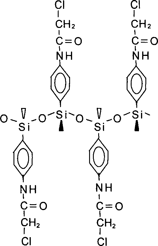 Nano lamina compound with regular arranged amino radicles
