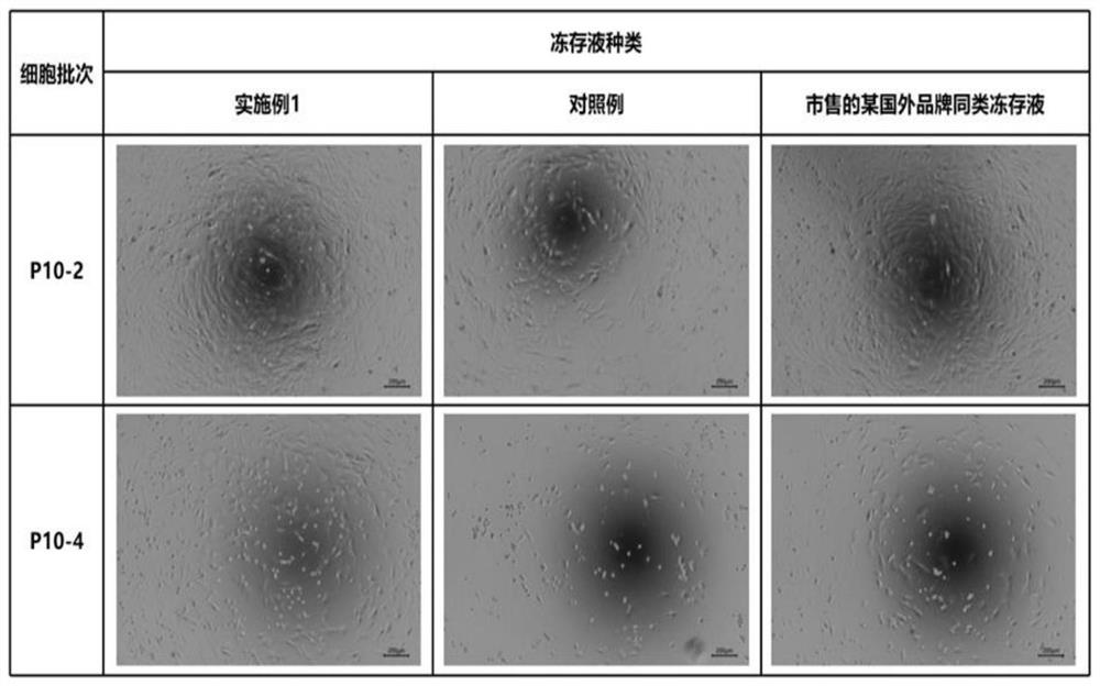 Umbilical cord mesenchymal stem cell protein-free non-programmed freezing medium and preparation method thereof