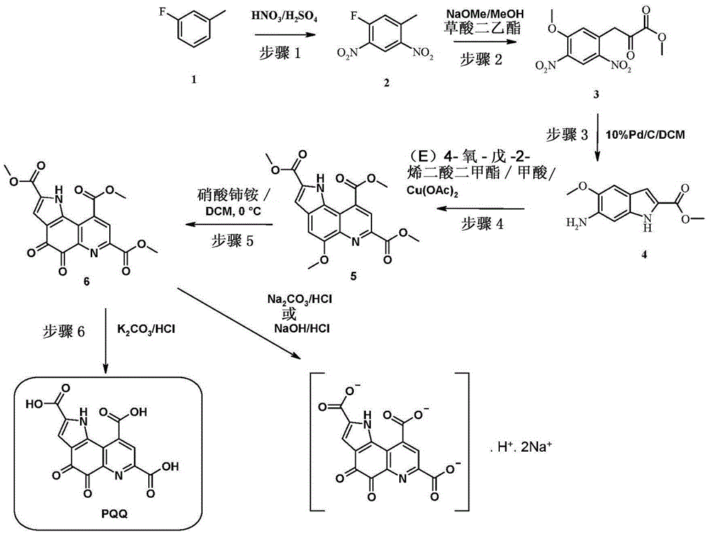 Compounds of '3-(5-sustituted oxy-2,4-dinitro-phenyl)-2-oxo-propionic acid ester', process and applications thereof