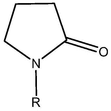 A kind of production method of pyrrolidone products