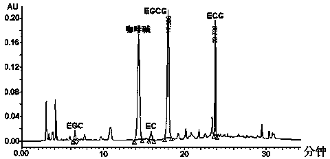 Method for increasing fresh tealeaves enzymatic-synthesized theaflavin productive rate