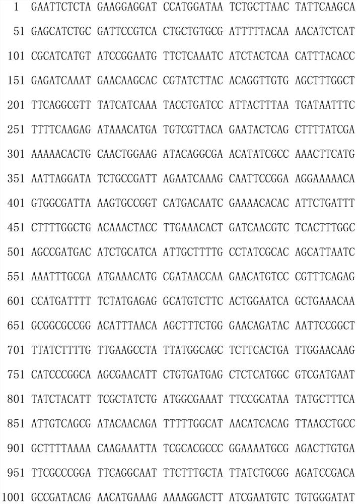 Fusion enzyme for producing nicotinamide mononucleotide and application thereof