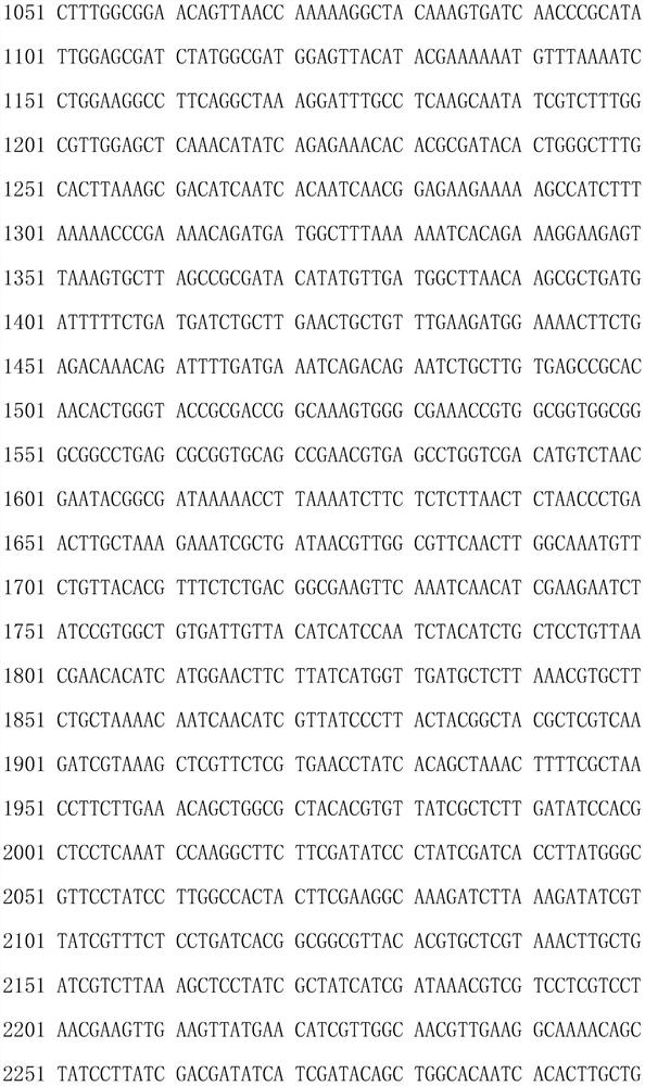 Fusion enzyme for producing nicotinamide mononucleotide and application thereof