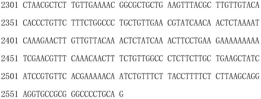 Fusion enzyme for producing nicotinamide mononucleotide and application thereof