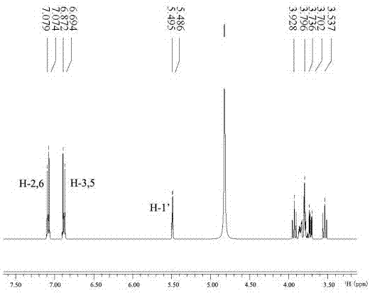 Amylosucrase and method for using same to produce Alpha-arbutin by transformation