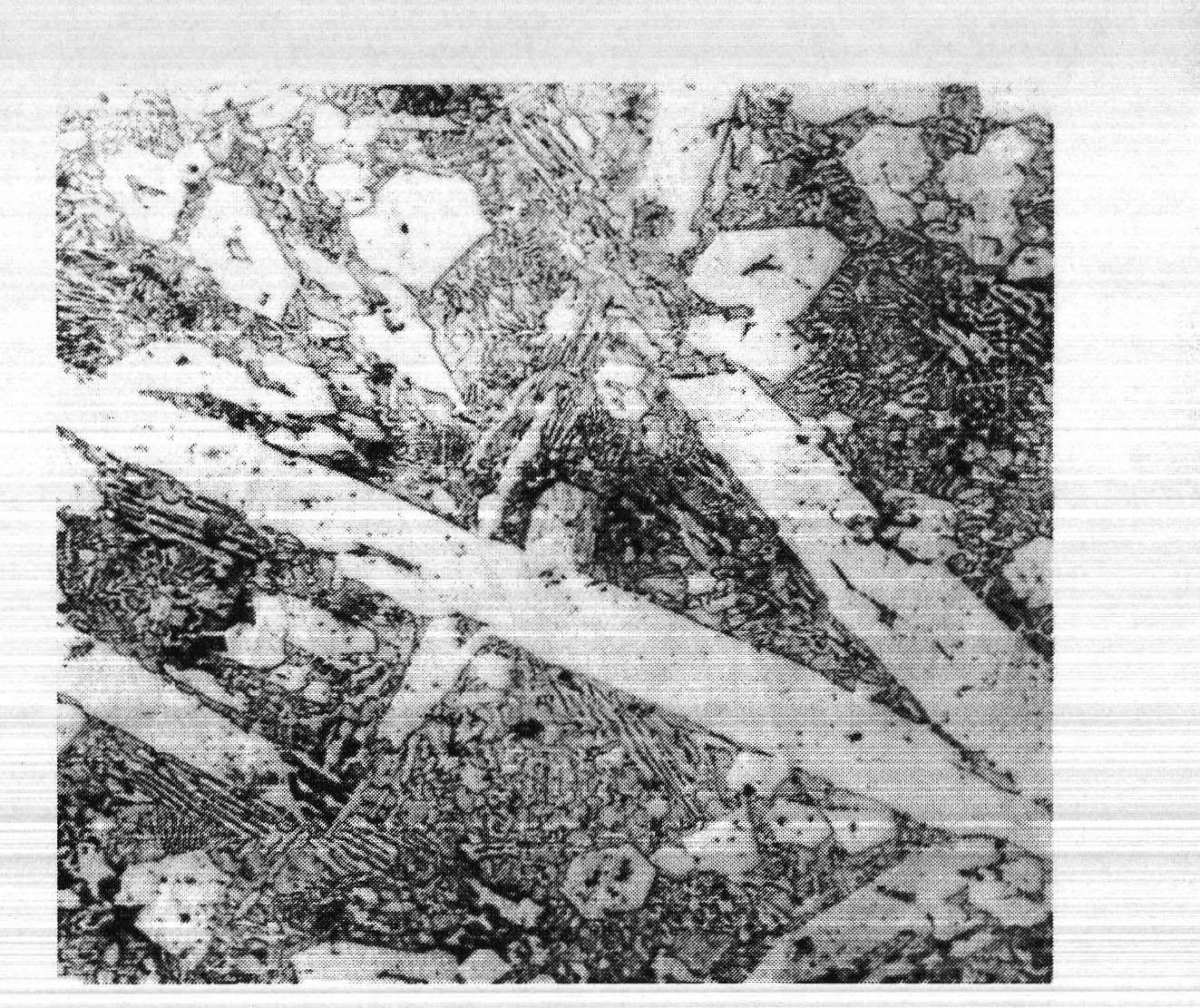 Surface particle reinforced composite material layer of iron cast member and preparation method thereof