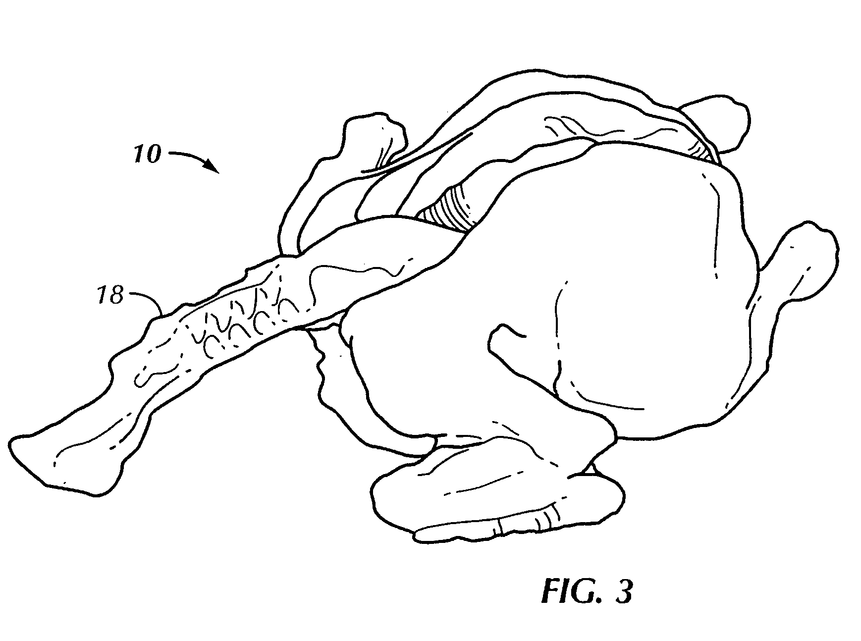 Method of preparing a bird for grilling and resulting bird product