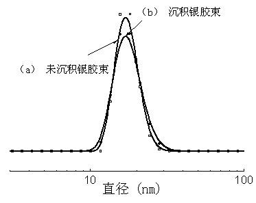Antibacterial nano silver modified polymeric micelle and preparation method thereof
